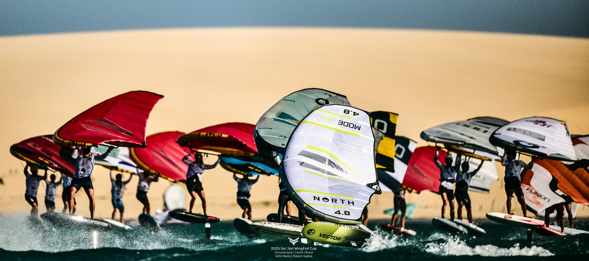 Annual General Meeting of the International Wing Sports Association