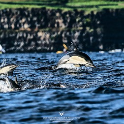 © IWSA media/Robert Hajduk